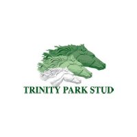 Trinity-park